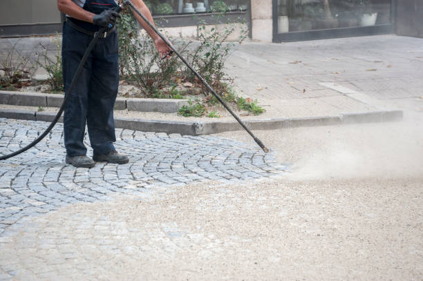 Best Driveway Cleaning and Restoration in Wright, WY